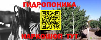 спайс Лесосибирск
